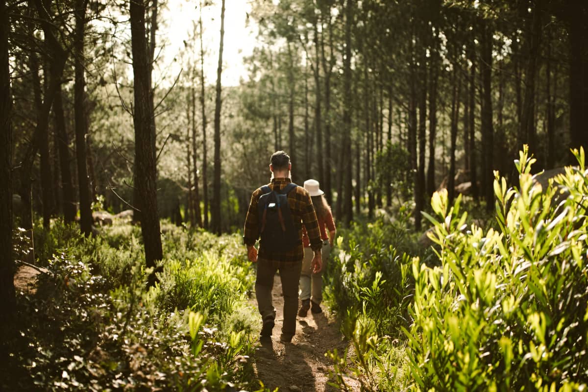 Man and woman walking through the forest