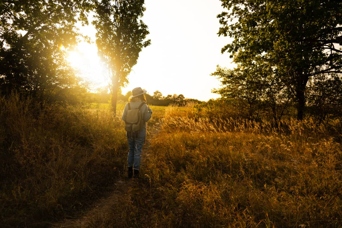 Silhouette of woman wearing hat, backpack at sunset in field with trees